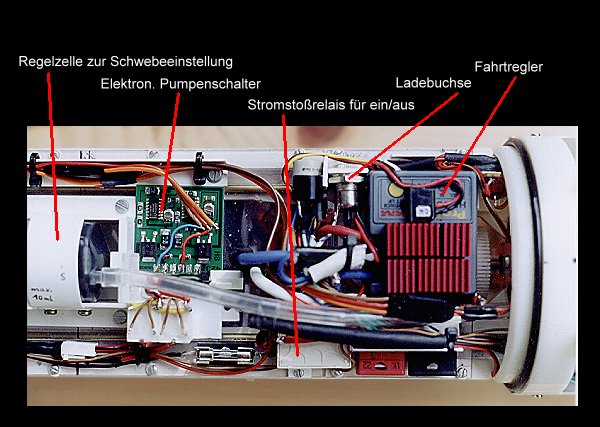 Der hintere Teil des Innenlebens 